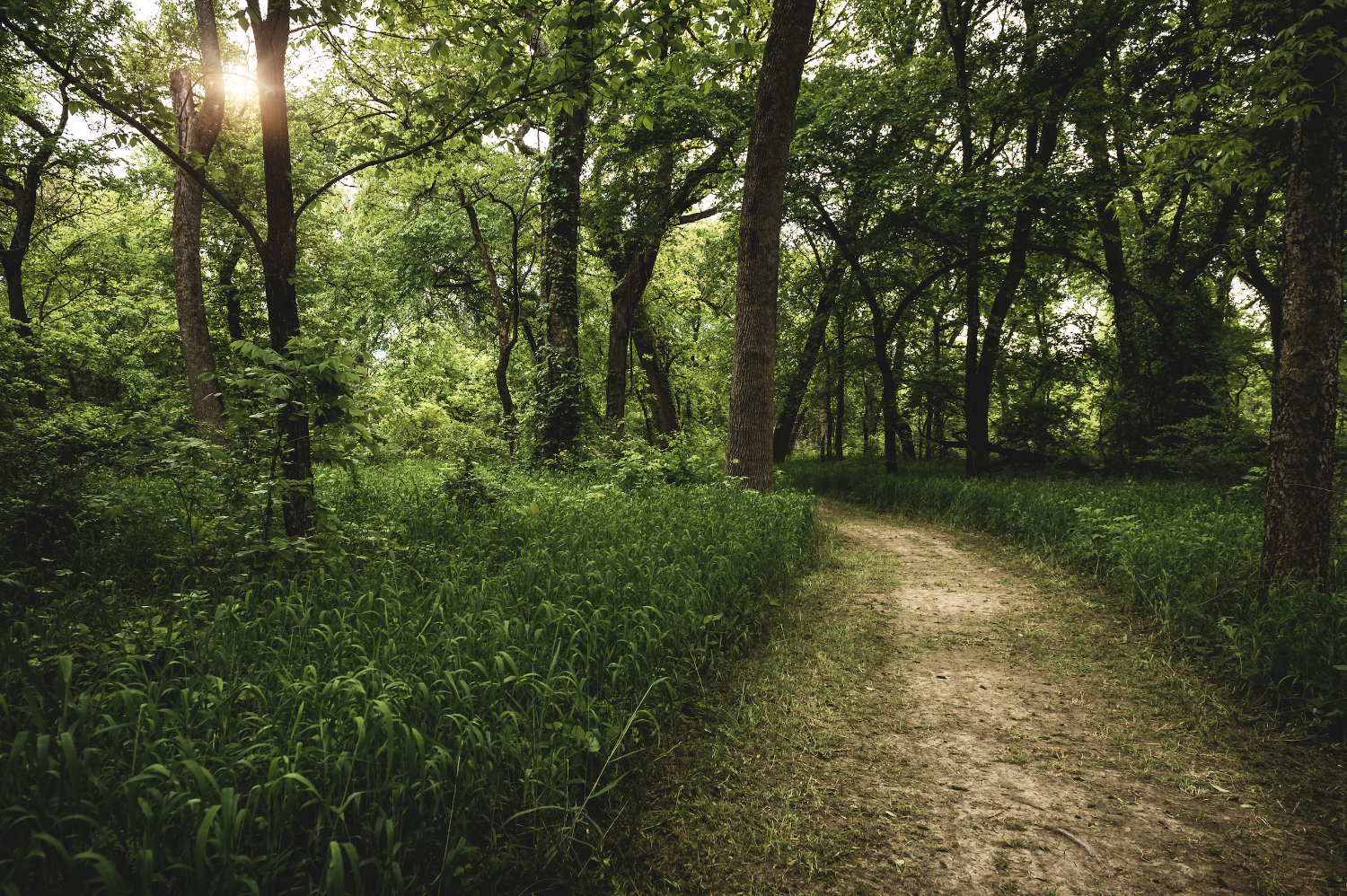 Hike and Bike Trails